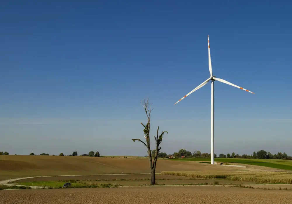 Branża OZE co to jest? Kluczowe informacje o odnawialnych źródłach energii