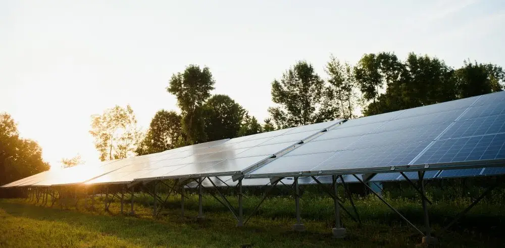 Jak uzyskać dotacje na elektrownie słoneczne i zmniejszyć koszty energii