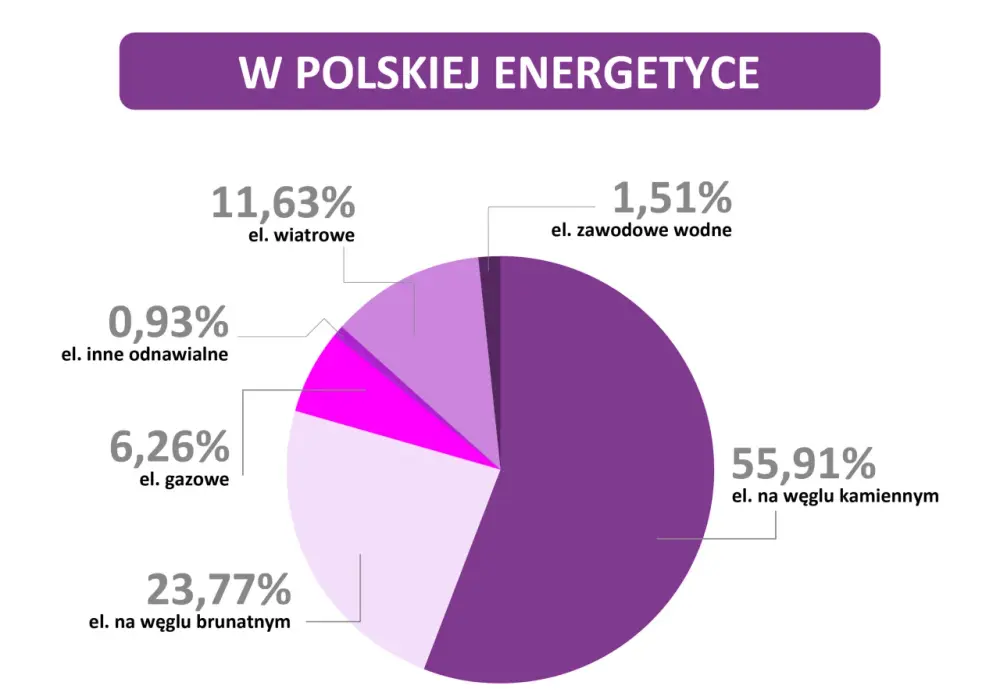 Ile jest elektrowni wiatrowych w Polsce? Zaskakujące dane i statystyki