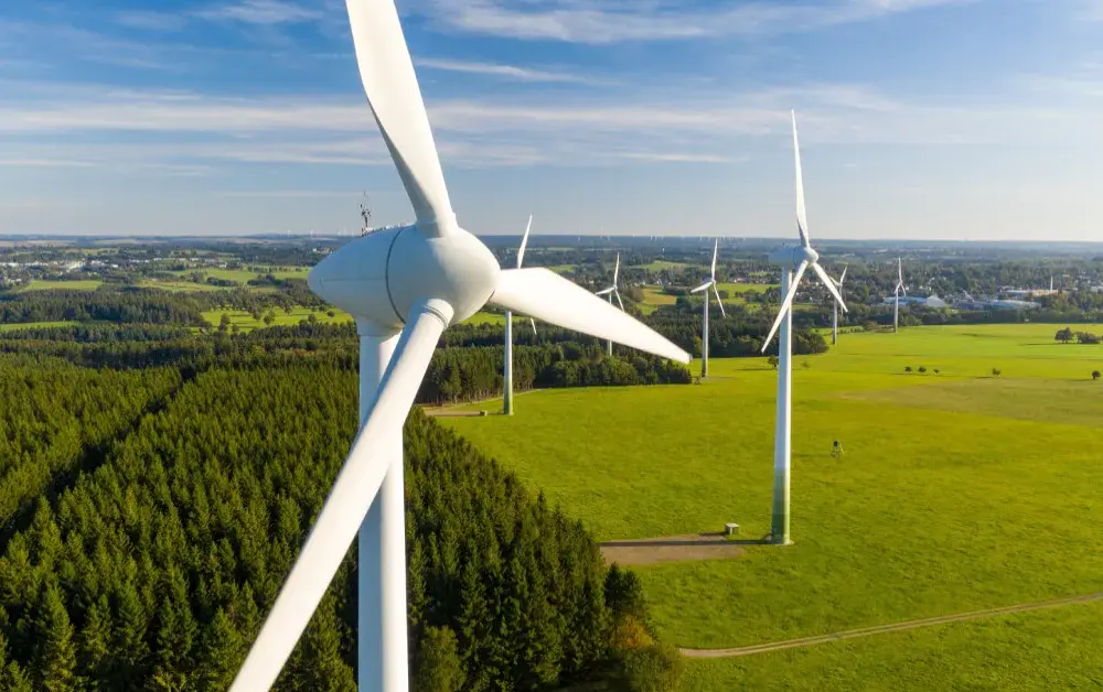 Ile można zarobić na elektrowni wiatrowej? Zaskakujące zyski i ryzyko