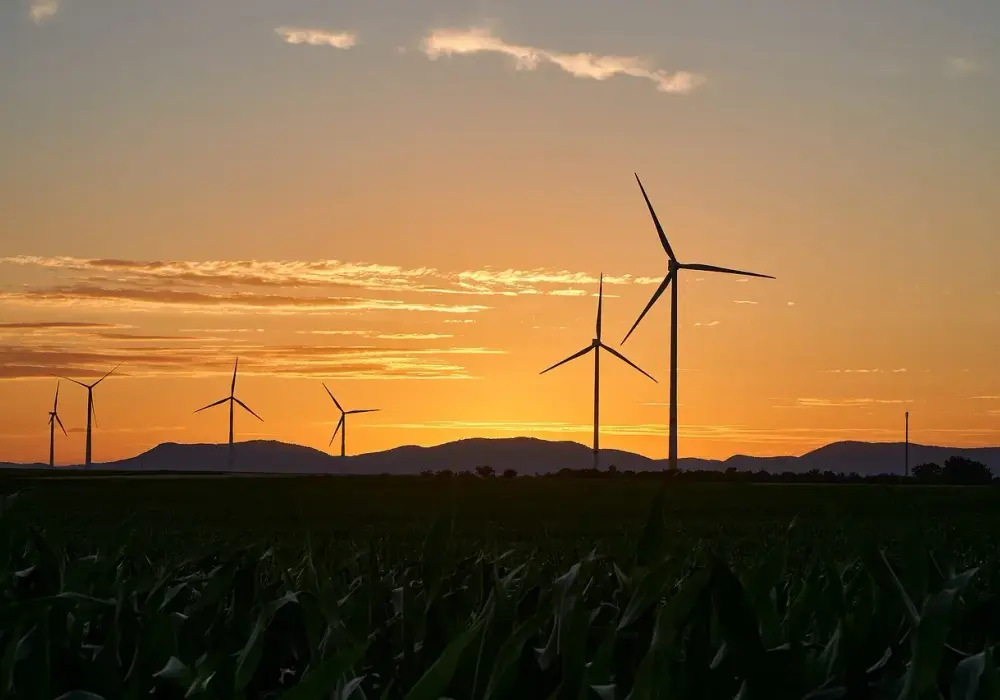 Dlaczego w Danii jest dużo elektrowni wiatrowych? Oto kluczowe powody