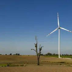 Branża OZE co to jest? Kluczowe informacje o odnawialnych źródłach energii