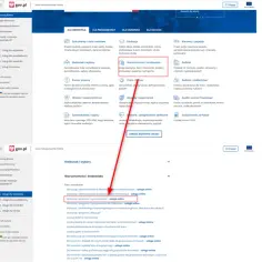 Czyste powietrze: czy wkład własny jest konieczny? Sprawdź szczegóły