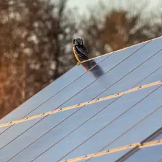  Panele fotowoltaiczne 500W - sprawdź ceny i opinie | SolarPRO