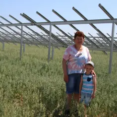 Wydzierżawię ziemię pod elektrownie słoneczne – sprawdź, jak zyskać na tym