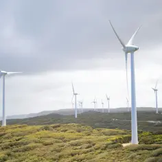 Ile kosztuje turbina wiatrowa? Przejrzysty przegląd cen i kosztów instalacji