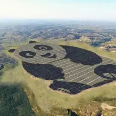 Elektrownia słoneczna w kształcie pandy – innowacyjny projekt zmieniający przyszłość energii