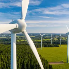 Tania energia wiatrowa: Jak zaoszczędzić na kosztach energii?