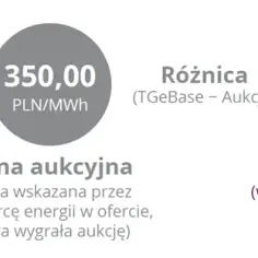 System aukcyjny OZE na czym polega - kluczowe zasady i korzyści