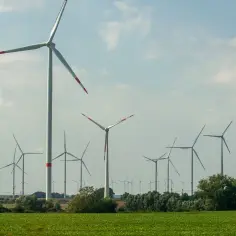 Pole z licznymi turbinami wiatrowymi na tle błękitnego nieba z chmurami.