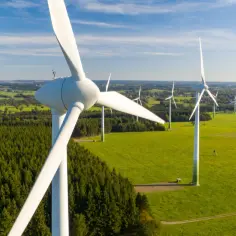 Ile można zarobić na elektrowni wiatrowej? Zaskakujące zyski i ryzyko