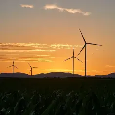 Dlaczego w Danii jest dużo elektrowni wiatrowych? Oto kluczowe powody