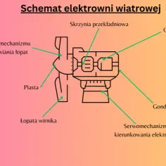 Energia wiatrowa dostarcza ekologicznej energii – korzyści i wyzwania