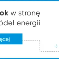 Jak działają aukcje OZE - kluczowe informacje i wymagania dla inwestorów