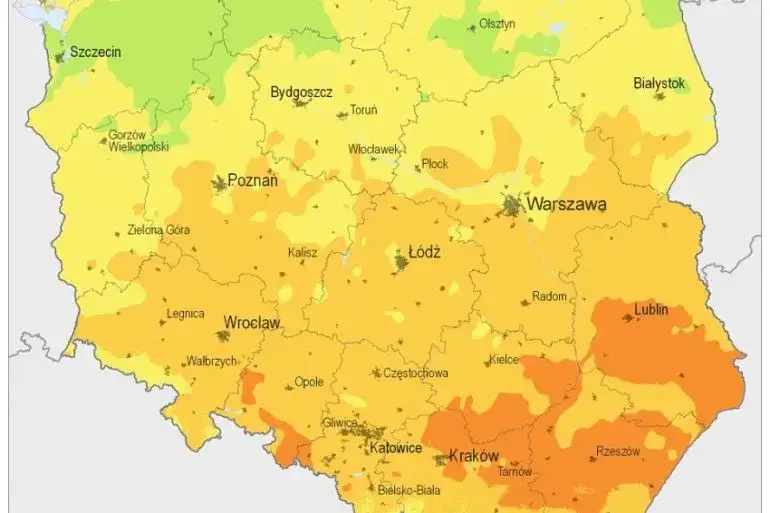 Zdjęcie Ile jest elektrowni słonecznych w Polsce? Zaskakujące dane i trendy