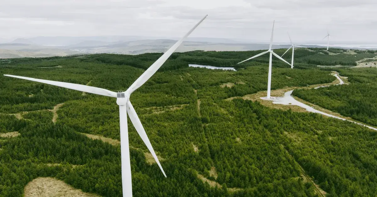 Zdjęcie Jaka elektrownia wiatrowa? Sprawdź, jak zaoszczędzić na energii