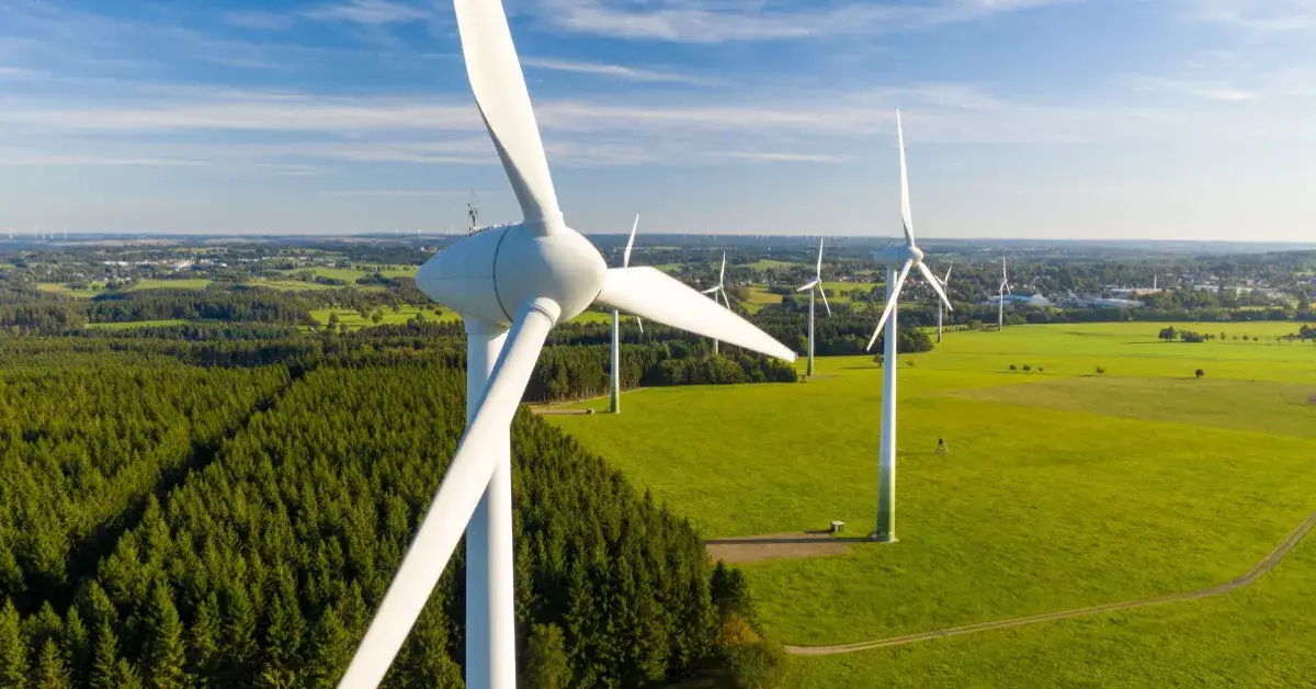 Zdjęcie Ile zarabia elektrownia wiatrowa? Zaskakujące fakty o dochodach
