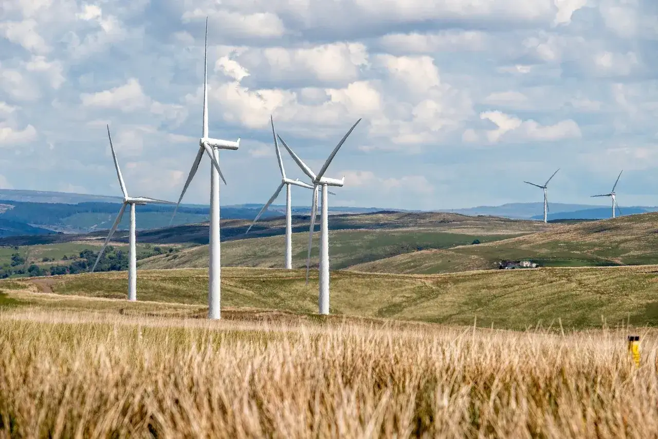 Zdjęcie Energia wiatrowa w Polsce: Kluczowe zmiany i przyszłość sektora