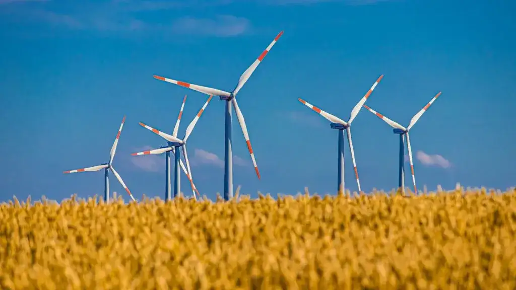 Zdjęcie Co to jest energia wiatrowa i jak zmienia przyszłość energii?