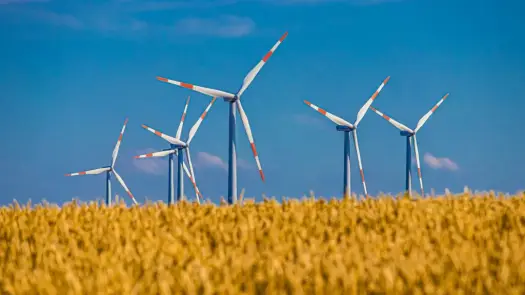 Udział energii wiatrowej w Polsce: Jak rośnie moc i przyszłość sektora