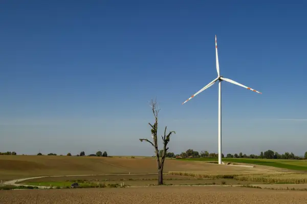 Branża OZE co to jest? Kluczowe informacje o odnawialnych źródłach energii