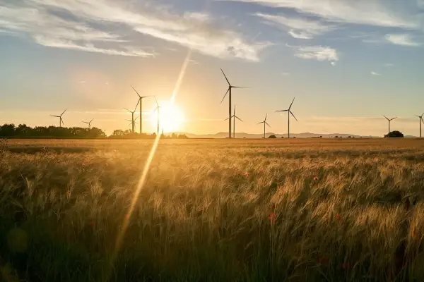 Ile kosztuje elektrownia wiatrowa? Poznaj ukryte wydatki i oszczędności