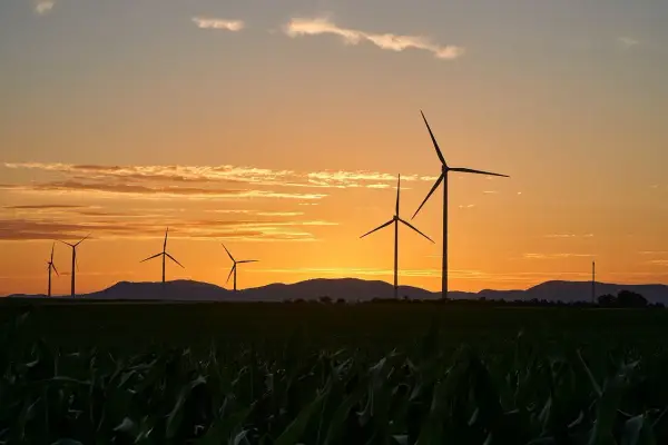 Dlaczego w Danii jest dużo elektrowni wiatrowych? Oto kluczowe powody